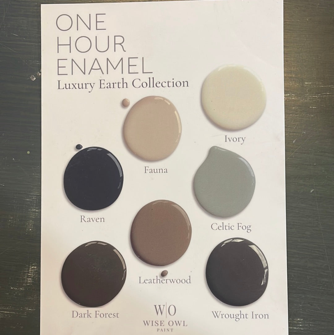 Wise Owl One Hour Enamel Paint