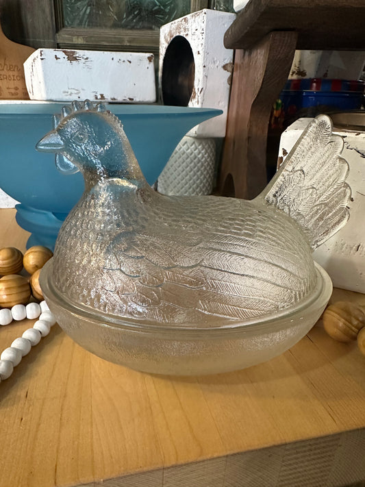 Hen on nest