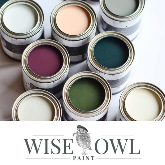 Wise Owl One Hour Enamel Paint