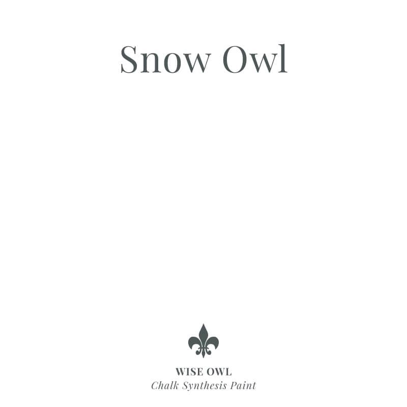 Wise Owl Chalk Synthesis Paint