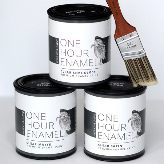 Wise Owl Paint One Hour Enamel Clear